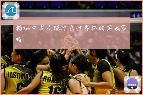 揭秘中国足球冲击世界杯的实战策略