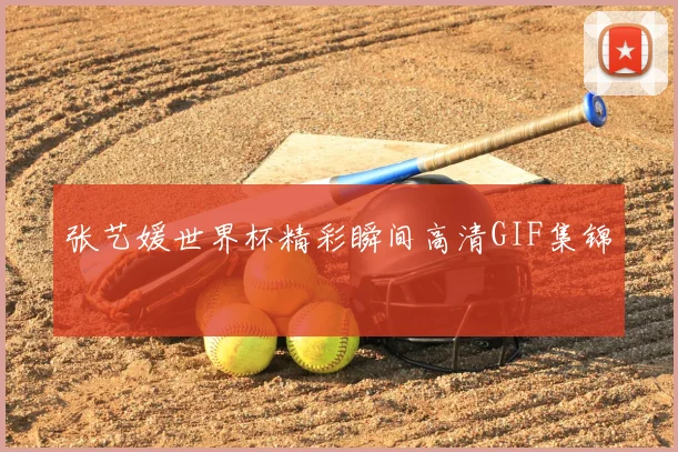 张艺媛世界杯精彩瞬间高清GIF集锦
