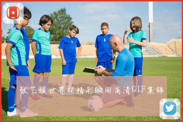 张艺媛世界杯精彩瞬间高清GIF集锦