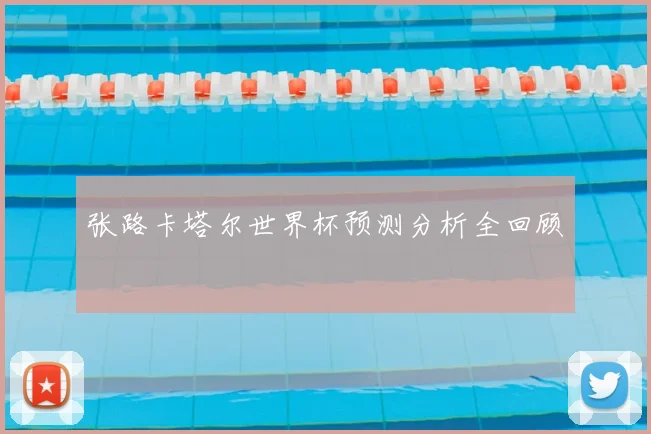 张路卡塔尔世界杯预测分析全回顾