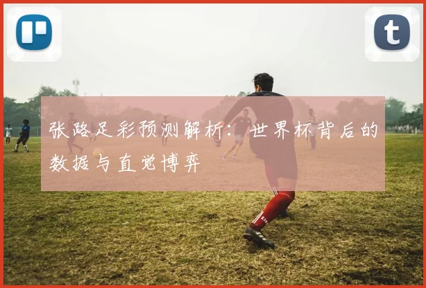 张路足彩预测解析：世界杯背后的数据与直觉博弈