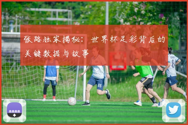 张路独家揭秘：世界杯足彩背后的关键数据与故事