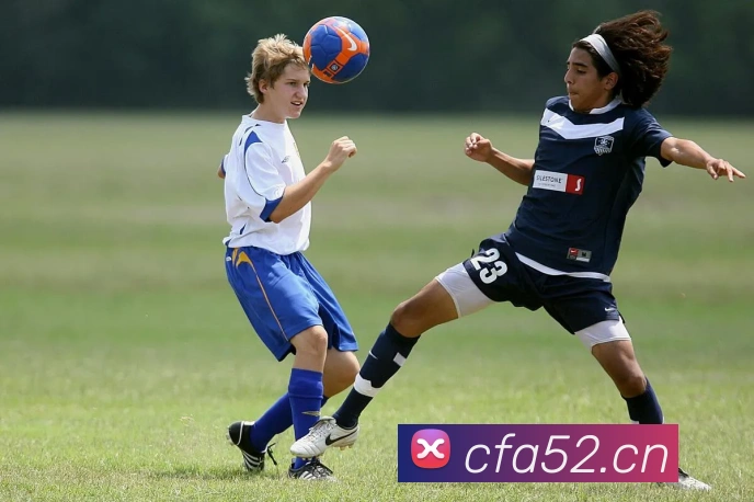 App Interface Preview